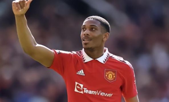 也彰显了他 也彰显了他